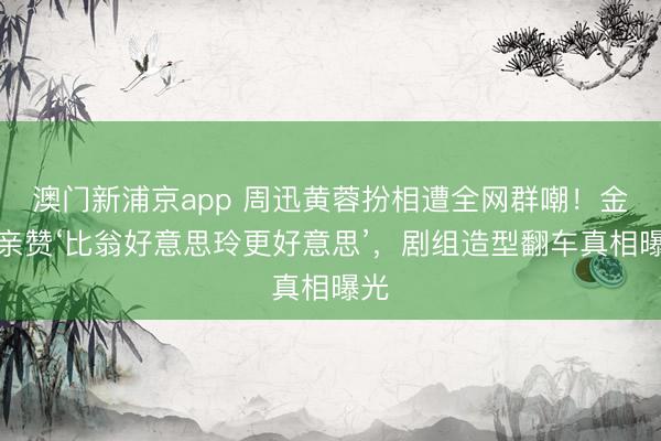 澳门新浦京app 周迅黄蓉扮相遭全网群嘲!金庸亲赞‘比翁好意思玲更好意思’,剧组造型翻车真相曝光