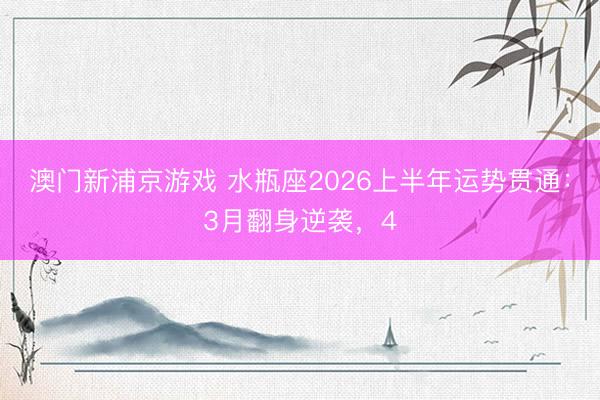 澳门新浦京游戏 水瓶座2026上半年运势贯通：3月翻身逆袭，4
