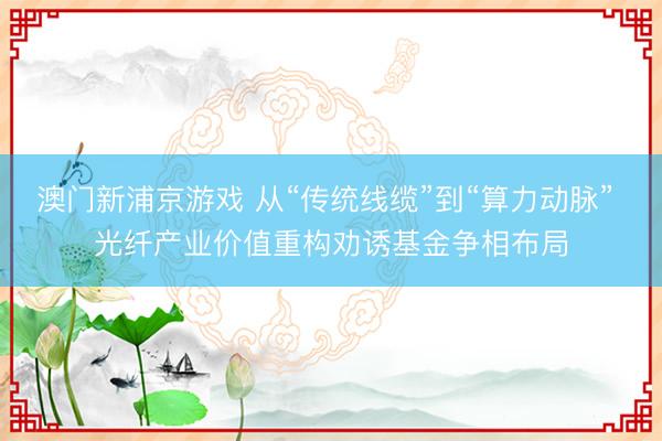 澳门新浦京游戏 从“传统线缆”到“算力动脉” 光纤产业价值重构劝诱基金争相布局