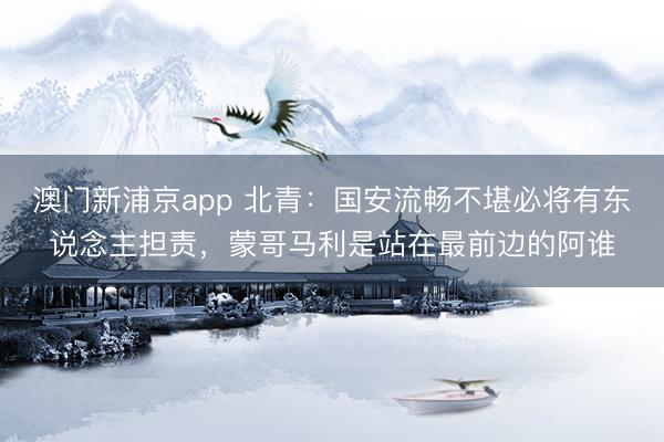 澳门新浦京app 北青：国安流畅不堪必将有东说念主担责，蒙哥马利是站在最前边的阿谁