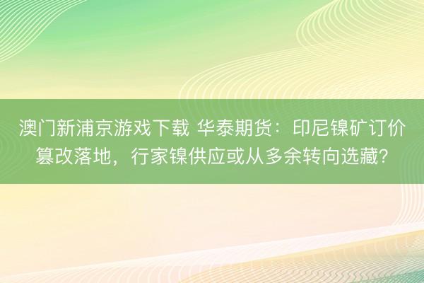 澳门新浦京游戏下载 华泰期货：印尼镍矿订价篡改落地，行家镍供应或从多余转向选藏？