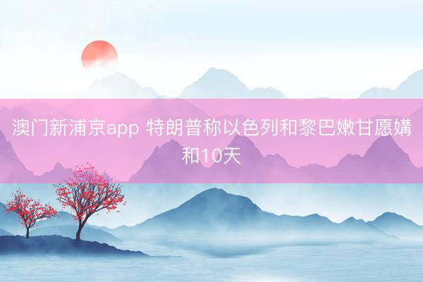 澳门新浦京app 特朗普称以色列和黎巴嫩甘愿媾和10天