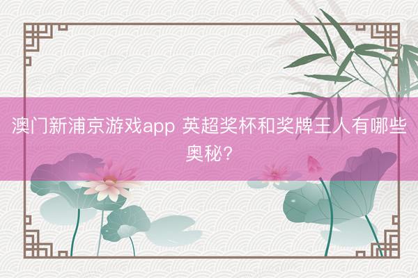 澳门新浦京游戏app 英超奖杯和奖牌王人有哪些奥秘?