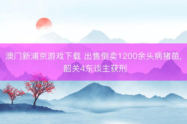 澳门新浦京游戏下载 出售倒卖1200余头病猪苗， 韶关4东谈主获刑