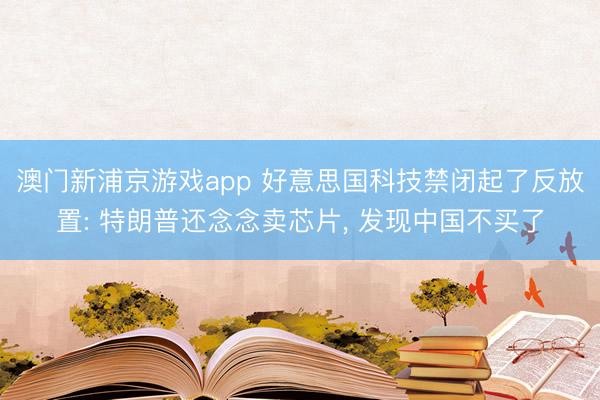 澳门新浦京游戏app 好意思国科技禁闭起了反放置: 特朗普还念念卖芯片， 发现中国不买了