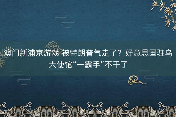 澳门新浦京游戏 被特朗普气走了？好意思国驻乌大使馆“一霸手”不干了