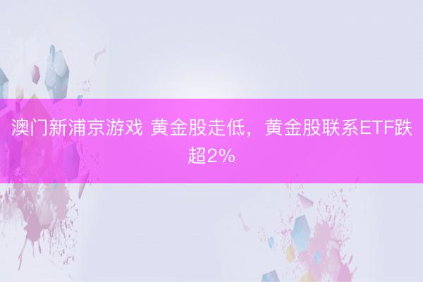 澳门新浦京游戏 黄金股走低，黄金股联系ETF跌超2%