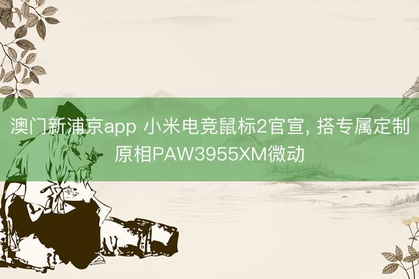 澳门新浦京app 小米电竞鼠标2官宣， 搭专属定制原相PAW3955XM微动
