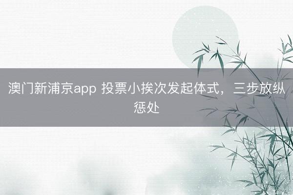澳门新浦京app 投票小挨次发起体式，三步放纵惩处