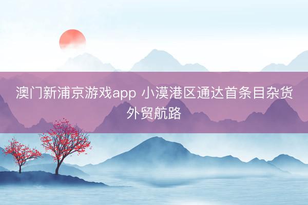 澳门新浦京游戏app 小漠港区通达首条目杂货外贸航路