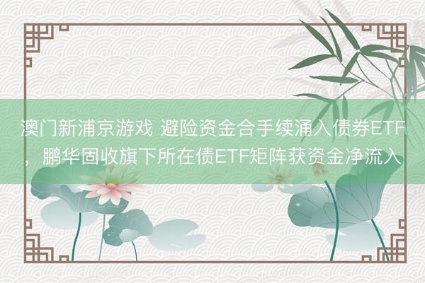 澳门新浦京游戏 避险资金合手续涌入债券ETF，鹏华固收旗下所在债ETF矩阵获资金净流入