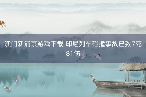 澳门新浦京游戏下载 印尼列车碰撞事故已致7死81伤