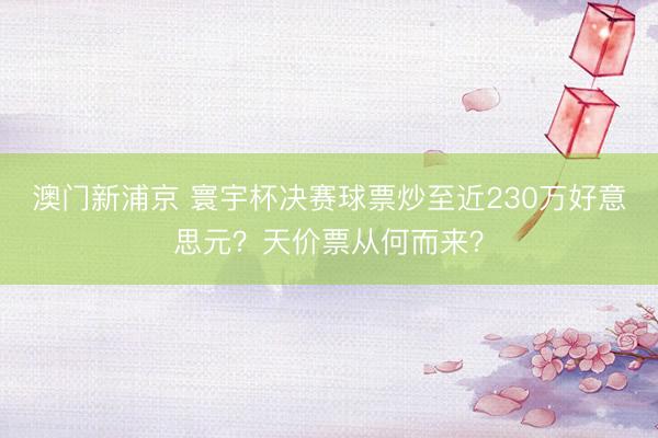 澳门新浦京 寰宇杯决赛球票炒至近230万好意思元？天价票从何而来？